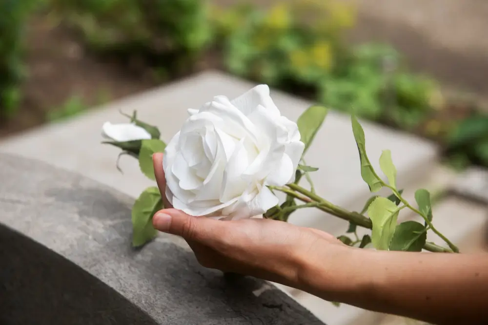 Main tenant une rose blanche sur pierre tombale, hommage funéraire marbrerie-pompes-funebres-mauvezin à Mauvezin